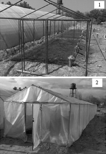 Figure 2 Metal frame with 100% vegetation coverage and the EAHE with inlets and outlets (1) and a greenhouse covered with plastic material (2).