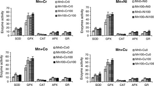 Figure 1.  Specific activities (mM UA/mg protein) (Mean±SD) of antioxidative enzymes in the seedlings of B. juncea grown in binary combinations of Mn with other heavy metals (mg l−1).