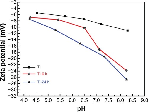 Figure 5 Surface zeta potential measurement.Notes: The zeta potentials versus pH values for each individual sample are shown. All the curves show a descending trend with increasing pH. The zeta potentials become more negative in the order of pure Ti, Ti-6 h, and Ti-24 h at the same pH value.Abbreviations: Ti, control titanium surface; Ti-6 h, small size nano-sawtooth surface, treated with 30 wt% H2O2 for 6 hours; Ti-24 h, large size nano-sawtooth surface, treated with 30 wt% H2O2 for 24 hours.