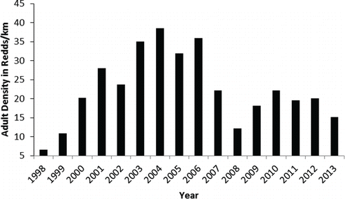 FIGURE 2. Density of spawning adult Bull Trout from 1998 through 2013 in the 27.1 km of spawning streams within the Metolius River basin inventoried annually.