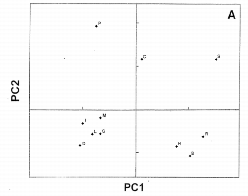 Figure 8. Principal component similarity scattergram of cationic CAP using charge scale for amino acid residues in the sequences. S: Salmon protamine, H: Human protamine, B: Rabbit protamine, R: Rat protamine, C: Chicken protamine, P: PR39, L: Lactoferricin, M: MSI‐95, G: BNCP‐1, D: α1‐Defensin, I: Indolicidin.