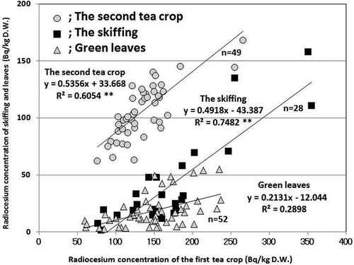 Figure 7 Relationship of radiocesium concentration among crude tea of the first crop, its green leaves, skiffing branch in the first crop and crude tea of the second crop on the tea plants (Camellia sinensis L. var. sinensis) in 2012. Asterisks represent significant differences between radiocesium concentrations of the first tea crop and skiffing branches (P < 0.01). DW: dry weight.