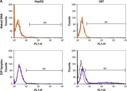 Figure 7 Transfection and confocal microscopic images of naked pDNA, D/P lipoplex, HA-PEG-PLGA-D/P NPs, CD-PEG-PLGA-D/P NPs, and lipofectamine.Notes: (A) Flow cytometric analysis indicating intracellular fluorescence intensity in CD44-negative HepG2 cells and CD44-positive U87 cells (black lines indicate control and color lines indicate different formulations). (B) Transfection in terms of MFI values in CD44-positive U87 cells and CD44-negative HepG2 cells for 12 hours by flow cytometric analysis (n=3, ***p < 0.001). (C) Confocal microscopic images of intracellular uptake in CD44-positive U87 cells (400× magnification).Abbreviations: CD, chondroitin sulfate; D/P, 1,2-dioleoyl-3-trimethylammonium-propane/pDNA; HA, hyaluronic acid; MFI, mean fluorescence intensity; NPs, nanoparticles; PEG, poly(ethylene glycol); PLGA, poly(D,L-lactide-co-glycolide).