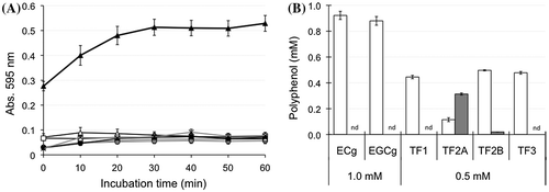Figure 4. Effects of tea polyphenols on taurocholate-PC micelles. (A) Changes in turbidity of the micelle solution during incubation with tea polyphenols at 37 °C. Data for ECg (open circles), EGCg (closed circles), TF1 (open triangles), TF2A (closed triangles), TF2B (open squares), TF3 (closed squares), and control (x marks) are means ± SD (n = 3). (B) Distribution of tea polyphenols in the Sup (open bars) and Ppt (closed bars) fractions after a 60-min incubation (nd: not detected). Data are means ± SD (n = 3).