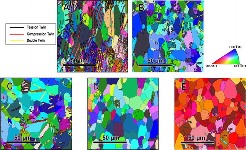 Figure 3. EBSD maps along the RD of (A) as-received sample; (B) sample tested at 103 s−1 in pure uniaxial tension; and small-notch cylindrical specimens tested at (C) 10−3 s−1, (D) 5 × 103 s−1, and (E) 1.8 × 104 s−1 along the RD. These EBSD maps (B, C, D, and E) were obtained from the area just below the fracture surface in the gauge-sections (notch-root).