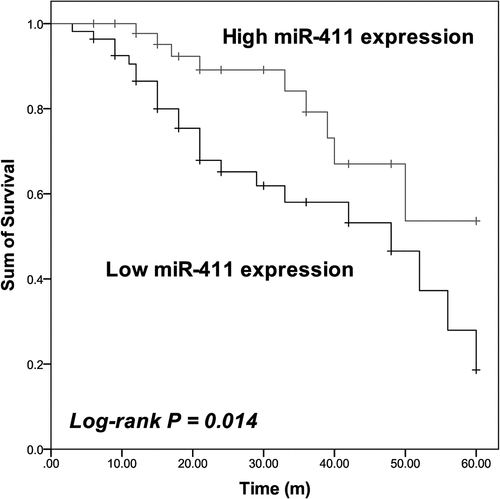 Figure 2. Patients with low miR-411 expression showed shorter survival than patients with high miR-411 expression. Log-rank P = 0.014