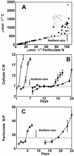 Fig. 4. Relationship between particulate organic carbon and particulate nitrogen concentrations for Chaetoceros muelleri for all culture conditions (A). Changes in cellular C:N for all cultures (B) and cellular N : P over time for the initial N : P 35 (C). Symbols as in Fig. 3. Redfield ratio lines of 6.6 mol C per 1 mol N, and of 16 mol N per 1 mol P are included for reference. Error bars indicate SD (n = 3).