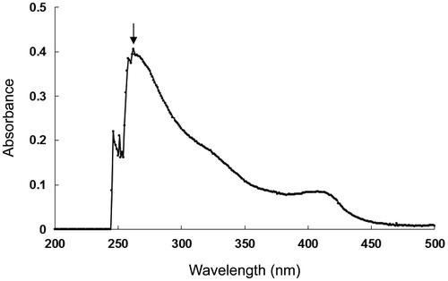 Figure 1. SME absorbs UVB radiation. UV/visible light spectroscopic measurements were conducted in the spectral range from 200 to 500 nm. The arrow indicates the position of maximum absorbance (262 nm).