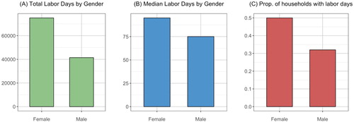 Figure 7. (A) Total labour days for men and women, (B) median labour days (for those who had received labour), and (C) the proportion of households who have received labour from each gender in the primary data.