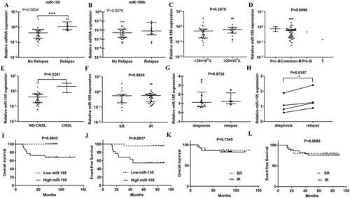 Figure 2. Up-regulated miR-155 is associated with specific risk groups and survival rate of childhood ALL patients. (A, B) MiRNA expression was evaluated by qRT-PCR in 42 newly diagnosed bone marrow samples, ten of whom relapsed latter. U6 was used as an internal reference. (C, D) MiR-155 expression levels in white blood cells (WBCs) and immunophenotype at diagnosis (P>0.05). (E) MiR-155 expression was significantly higher in CNSL patients compared to control (P < 0.05). (F) MiR-155 expression between standard risk status and intermediate risk status patients (P > 0.05). (G) The newly diagnosed bone marrow samples were divided into diagnosis (have no-relapse lately, n=32) and relapse (who relapse lately, n = 10) groups (P > 0.05). (H) Four paired diagnosis-relapse samples were detected. (I, J) High miR-155 expression was associated with poorer OS and EFS rate (P < 0.01). (K, L) The OS and EFS of patients between intermediate risk status and standard risk status (P > 0.05).