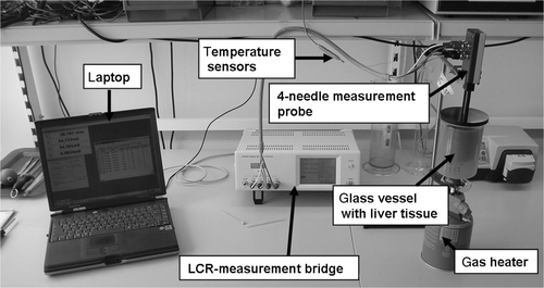 Figure 2. Experimental set-up and measurement order of ex vivo examination in porcine liver.