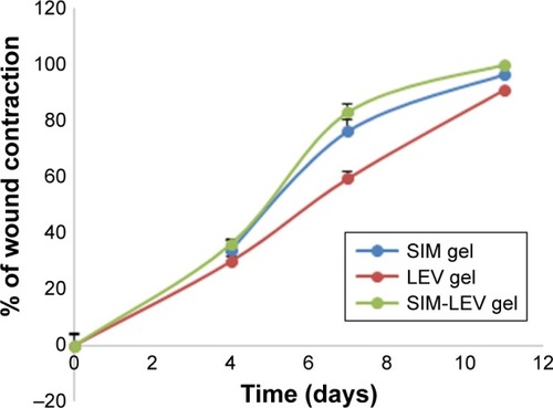 Figure 8 Percent of wound contraction in the three groups received SIM PoNPs loaded on hydrogel, LEV hydrogel, and mixture of SIM PoNPs and LEV hydrogel at a ratio of 1:1.