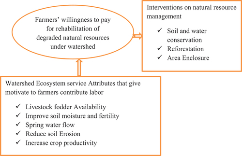 Figure 1. Conceptual framework for farmers’ willingness to pay for rehabilitation of degraded natural resources under watershed development. Source: Modified from Teshome (Citation2016).