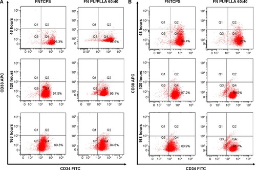 Figure 3 KG1a phenotype maintenance on fibronectin (FN)-coated scaffolds. Fluorescence-activated cell sorting analysis of KG1a cell phenotype after seeding at different conditions (FN + tissue culture plate system [TCPS] and FN + scaffold) at different time points.Notes: Note the percentage of expression of CD34+ and 33− (A) remained similar on scaffolds at 48 to 168 hours (h) compared to on a FN-coated tissue culture plate system (FNTCPS). A similar pattern was observed with CD34+ and 38− (B).Abbreviations: APC, Allophycocyanin; FITC, fluorescein isothiocyanate; PLLA, poly-l-lactic acid; PU, polyurethane.