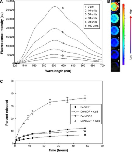 Figure 3 Enzyme-sensitive drug release from DendDP and DendGDP nanoparticles.Notes: Fluorescence intensity spectra (A) and near-infrared images (B) of DendGDP nanoparticles in the presence of CaB. Three milligrams of nanoparticles were incubated with CaB for 3 hours. (C) Release of DOX from the nanoparticles in the absence or presence of CaB (50 U).Abbreviations: au, absorbance units; CaB, cathepsin B; DendGDP, dendrimer-MPEG-DOX conjugate with GFLG peptide linkage; DendDP, dendrimer-MPEG-DOX conjugate; DOX, doxorubicin; MPEG, methoxy poly(ethylene glycol); GFLG, Gly-Phe-Leu-Gly.