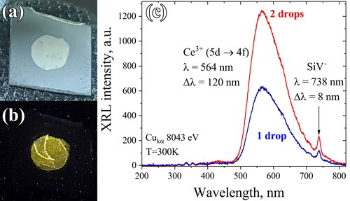 Figure 6. Photographs of the “Diamond-GSAG:Ce” composite membranes (2 drops of Gd2.73Ce0.02Sc0.5Al4.75O12 dispersion) under standard indoor lighting (a) and in the dark under X-ray radiation (b), as well as the X-ray luminescence spectrum of the composite (1 and 2 drops of Gd2.73Ce0.02Sc0.5Al4.75O12, accordingly). Note (b) white speckles as artifacts caused by the exposure of photosensitive elements in the camera to X-rays. The inhomogeneity of luminescence in (b) is due to the inhomogeneity of the distribution of GSAG: Ce particles in the composite [Citation113].