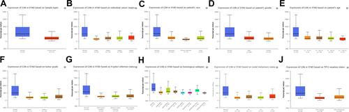 Figure 2 Relationship between GSN expression and clinical characteristics in GC patients. (A–J), expression of GSN on cancer stages, race, gender, age, tumor grade, H pylori infection status, histological subtypes, metastasis, and TP53 mutation.