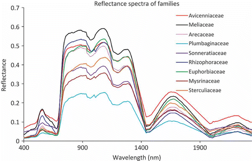 Figure 4. Canopy reflectance spectra of the nine mangrove families.