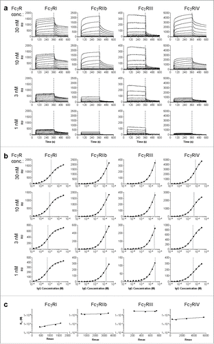 Figure 1. Calculation of KD by interpolation of equilibrium fit. Sensorgrams (a) and derived affinity plots (b) of human IgG1 anti-RhD binding to ligands FcγRI, FcγRIIb, FcγRIII and FcγRIV for 4 different ligand (FcγR) concentrations; 30, 10, 3 and 1nM, c) The affinity plot derived KD and Rmax of each ligand concentration are plotted for interpolation of KD to a constant Rmax of 500.