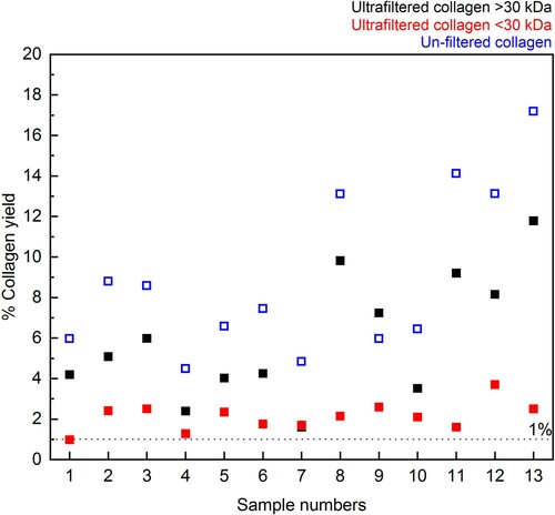 Figure 8. Differences between % collagen yield for ultrafiltered collagen (>30 kDa in black and <30 kDa in red) and non-ultrafiltered collagen (blue) extracted from 13 bone samples in Experiment B.