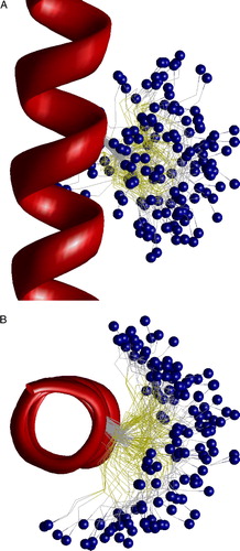Figure 6.  The side (A) and top (B) views of the low-energy conformations of MTSET bound to Cys residue in alpha helix. Positions of the nitrogen atom are shown as small blue spheres. Flexibility of the label allows wide distribution of its terminal group. This figure appears in colour in Molecular Membrane Biology online.