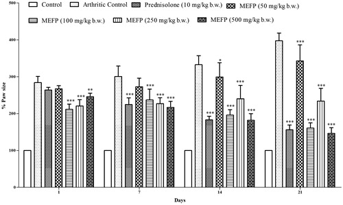 Figure 2. Effect of MEFP on paw volume in CFA-induced arthritic rats. The values are expressed as mean ± SD. p < 0.05 was considered significant with respect to arthritic control group (*p < 0.05; **p < 0.01; ***p < 0.001).