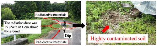 Figure 1. Sampling of contaminated soil.