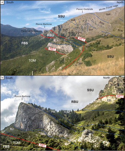 Figure 4. (a) Panoramic view of the studied Ligurian segment of the Penninic Basal Thrust (see section B–B′ on the Main Map); (b) the Rocca Barbone Unit is bounded by two thrust planes (MFT and RBT – Monte Frontè Thrust and Rocca Barbone Thrust, respectively). BOR: Bordighera sandstones Fm.; EB Block of Late Cretaceous marly limestones; FBS: Foreland basin succession; JL: Jurassic limestones; LJ: Late Jurassic limestones; MJ: Middle Jurassic limetones; PB: Eocene polygenetic breccias; RBU: Rocca Barbone Unit; SBF: San Bartolomeo Fm.; SMF: San Remo Flysch; SSU: San Remo-Monte Saccarello Unit; SP: Triassic dolostones; TOM: ‘Triora Olistostrome Member’; UF: Late Cretaceous marly limestones of the Upega Fm.