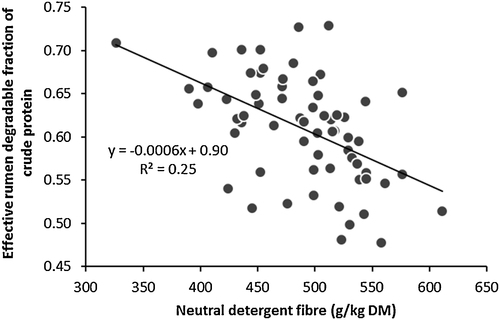 Fig. 2 Relationship between neutral detergent fibre (g/kg DM) and effective rumen degradable fraction of crude protein of grass silages.