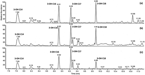 Figure 1. 3-Hydroxy fatty acid profile in the dust from compost facilities. (a) Waste sorting area (composting plant IV). (b) Seedling hall (composting plant I). (c) Sell hall (composting plant I).