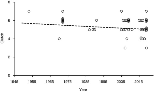 Figure 4. The trend in clutch size of Lesser Spotted Woodpeckers in Britain from 1949 to 2019 (n = 45). Some of the points have been plotted with ‘jitter’ to show multiple records with the same clutch size in any year. The trend with year was not significant – see text for details.