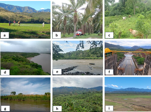 Figure 4. Field photographs with examples of (a) rice cultivation, (b) oil palm cultivation, (c) grasslands, (d) non-agricultural vegetation, (e) water surface, (f) others, (g) other temporary crops, (h) other permanent crops and (i) wetlands were obtained by the authors during fieldwork in 2023.