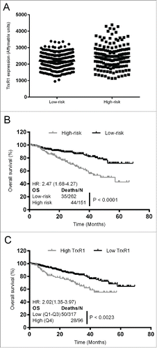 Figure 1. Increased TrxR1 expression in MM patients correlates with decreased overall survival and poor prognosis. (A) TrxR1 expression in high-risk and low-risk MM patients was determined from the gene expression profiling data deposited in the gene expression omnibus database (GSE4581). Unpaired student t test was performed. P < 0.05 (compared to low-risk patients) (B) Overall survival of high-risk and low-risk patients receiving Total Therapy 2 and 3 was estimated by generating the Kaplan-Meier curve. (C) Overall survival was estimated in the patients with high and low TrxR1 expression levels receiving Total Therapy 2 and 3 by generating the Kaplan-Meier curve.