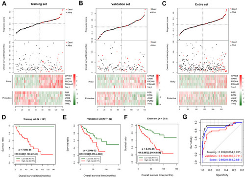 Figure 3 Predictive performance of the prognostic score model. Prognostic score distribution (upper panel), scatter plot of the overall survival time distribution of the samples (middle panel), and heatmaps of the methylation level patterns of the 10 differentially methylated genes with prognostic score changes (lower panel) in the training set (A), validation set (B), and entire set (C). Kaplan–Meier survival curves for patients with high and low prognostic scores in the training set (D), validation set (E), and entire set (F). (G) Receiver operating characteristic curves showing the predictive performance of the prognostic score model in the three data sets.