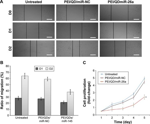 Figure 6 Inhibition of HepG2 cell migration and proliferation after transfection.Notes: (A) Cell migration after treatment with different nanoparticles; D0, D1, and D2 represent the first, second, and third day when cell monolayers were scratched; Scale bar =100 μm. (B) Ratio of migration of HepG2 cells corresponding to A. (C) Cells proliferation after treatment with different nanoparticles. *P<.0.05.Abbreviations: PEI, polyethyleneimine; QD, quantum dot; NC, negative control.