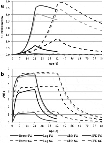 Figure 5. Simulated kinetics of α-HBCDD burden (µg) (a) and accumulation ratio (ARlip)1 (b) in tissues of fast- (FG) and slow-growing (SG) broilers2 exposed through feed (38 µg α-HBCDD kg−1) from hatching to 21 and 42 days, respectively. Mean decontamination (kc) and elimination (kw) rates are presented in Table 3.