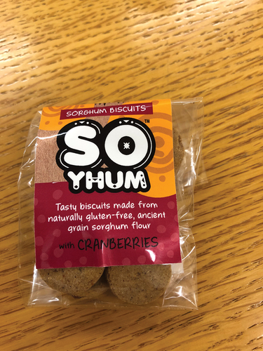 Figure 10. So Yhum Sorghum biscuits made at the University of Pretoria (Source: Author’s Own).
