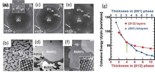 Figure 5. Nucleation and growth of Bi islands on a Si(111)7×7 substrate at room temperature. (a,c,e) and (b,d,f) show LEED and STM results, respectively. The Bi coverage was 2–4 ML in (a,b), 4–6 ML in (c,d), and greater than 6 ML in (e,f). (g) Theoretically calculated thickness dependence of the cohesive energy of BP-like Bi(110) and bulk-like Bi(111) films. The crystal orientation is indicated using the hexagonal index; the {012} and {001} orientations in the hexagonal index correspond to the (110) and (111) orientations in the rhombohedral index. Reprinted with permission from [Citation37]