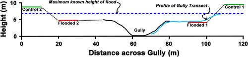 Figure 3 Diagrammatic representation, looking north up the reserve, of the height of the flood (February 2004) in relation to the mean heights of the sampled plots and position and topography of the Gully Transect. Dotted lines represent variable distances despite x-axis. Dashed line is the maximum flood depth.