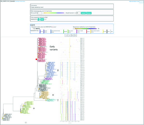 Figure 7. Display and analysis of SARS-CoV2 data in Phylobook.Shown are spike protein sequences from SARS-CoV2 samples obtained over time in Washington state plus the reference Wuhan sequence (adjacent to the red dot to left of red boxed sequences). Clades were manually selected based on the tree and highlighter plot. Additional annotations (added in Powerpoint) show approximate WHO strain designations to the right of the tree.