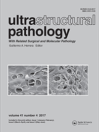 Cover image for Ultrastructural Pathology, Volume 41, Issue 4, 2017