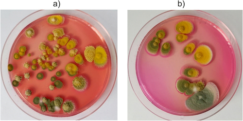 Figure 10. Colonies of filamentous fungi grown on Rose-Bengal Chloramphenicol Agar (RBC) medium from flax shives (a) and hemp shives (b).
