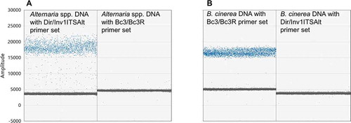 Fig. 3 (Colour online) DdPCR of Alternaria and Botrytis cinerea mycelial DNA to assess primer specificity. (a) Alternaria. First column: Alternaria mycelial DNA with Dir/Inv1ITSAlt (Alternaria spp.) primers. Second column: mycelial DNA with Bc3/Bc3R (B. cinerea) primers. (b) Botrytis cinerea. First column: mycelial DNA with Bc3/Bc3R primers. Second column: mycelial DNA with Dir/Inv1ITSAlt primers. There is no cross reactivity of primer sets