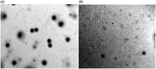 Figure 2. Transmission electron micrographs of (A) Reference ethosomes, RE; (B) Ethosomal glycolic vesicles, TA10.