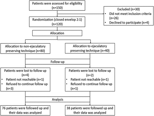 Figure 1. Consolidated standards of reporting trials (CONSORT) flowchart of study cases.