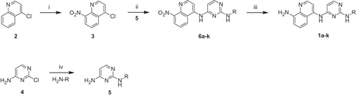 Scheme 1. Reagents and reaction conditions: (i) HNO3, H2SO4, rt, 4 h; (ii) NaOtBu, DMF, rt, 4 h; (iii) 5% Pd/C, H2, MeOH, rt, 1 h; (iv) Pd(OAc)2, BINAP, CsCO3, toluene, reflux, 6 h.