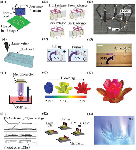 Figure 1. Freeform fabrication of robotic and shape-changing devices using smart polymeric materials: (a1) fused-filament fabrication (3D printing) of IPMC soft crawling robot, (a2) locomotion of 3D-printed IPMC-based crawling robot, and (a3) photo of 3D-printed IPMC-based crawling robot crawling along a tube; (b1) fabrication of an ionogel-based crawling robot, (b2) locomotion of an ionogel-based crawling robot, (b3) photo of an ionogel-based crawling robot crawling along a PDMS substrate; (c1) micro-projection stereolithographic (µSLA) fabrication of a SMP based flower, (c2) restoration of SMP flowers unstrained shape in response to heat, and (c3) picture of SMP flower in its unstrained shape; (d1) inkjet printing and micromachining of a phototropic liquid crystal elastomer (LCE) based artificial cilia array, (d2) actuation cycle of LCE based artificial cilia array in response to visible and UV light, and (d3) picture of actuating LCE based artificial cilia array exhibiting fast response time. Figures (a1)-(a3) adapted with permission from [Citation11]. Figures (b1)-(b3) adapted with permission from [Citation7]. Figures (c1)-(c3) adapted with permission from [Citation9]. Figures (d1)-(d3) adapted with permission from [Citation6].