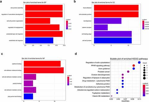 Figure 5. Functional enrichment of STEMI-related genes. Top 6 enriched GO terms in biological process (BP), cellular component (CC), and molecular function (MF) were depicted with bar plots (a, b, c); top 12 enriched KEGG pathways were visualized with bubble plots (d)