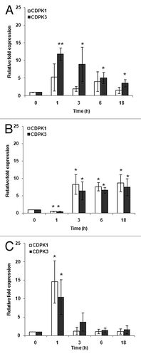 Figure 2. Expression patterns of CDPK1 and CDPK3 transcripts in response to nutrient starvation at 0, 1, 3, 6, and 18 h by real-time RT-PCR analysis. (A) Acetate starvation. (B) Phosphorus starvation. (C) Nitrogen starvation. The single and double asterisks indicate a statistically significant difference at P< 0.05, P< 0.005 respectively.