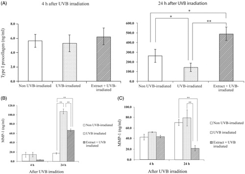 Figure 3. Effects of the extract (50 μg/mL) on type I procollagen (A), MMP-1 (B) and MMP-13 (C) productions by UVB-irradiated human skin fibroblasts at 4 and 24 h after irradiation. Each bar represents mean ± SD of triplicate study. *p <0.05 and **p <0.01, when compared between two groups (Student’s t-test).